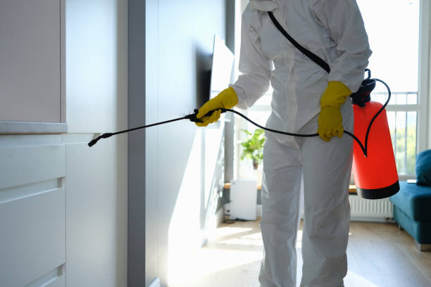 Best Bathroom Mold Remediation in Dallas, TX